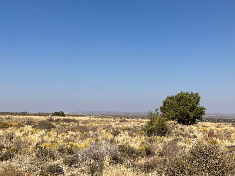 0 Bedroom Property for Sale in Luckhoff Free State